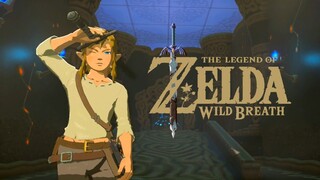 A (Completely Normal) Farewell to Breath of the Wild