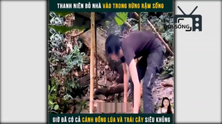 cuộc sống trong rừng p2
