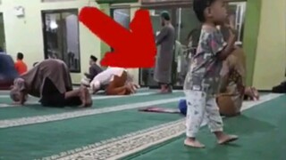 YaAllah, perhatikan gerakannya  seperti sedang menari... #shorts