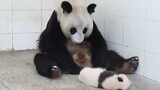 [Pandas] I Need A Shot Of Milk To Forget My Child