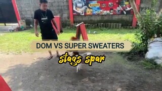DOM Vs Super Sweater Stags Spar