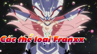 Các thể loại Franxx trong "Anh yêu núp trong Franxx".