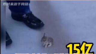 Would you step on it for $1.5 billion? Me: Crimson Drill