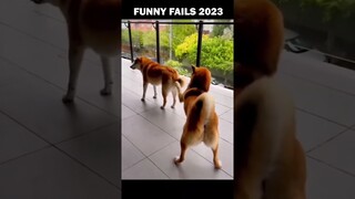 Funny Fails Compilation 2.65 - 2023