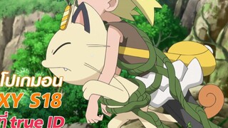 เห็นแบบนี้เนียสเองก็มีน้ำใจนะ : Pokémon XY S18 ที่ TrueID