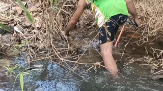 electric fishing..