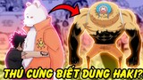Thú Cưng Ăn Trái Ác Quỷ?! | Những Người Sỡ HữuThú Cưng Khủng Nhất Trong One Piece