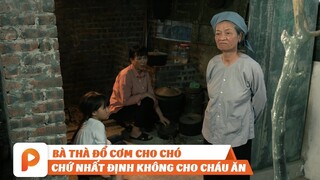 THÁNG NĂM DỮ DỘI TẬP 1 | ĐỔ CƠM CHO CHÓ, BỎ ĐÓI CHÁU NHỎ. NGƯỜI BÀ QUÁ NHẪN TÂM