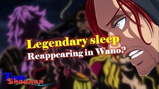 [Hypothesis]. The "Legend of Quiet Sleep" reappears in Wano?