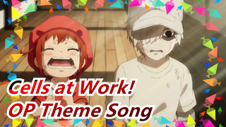 [Cells at Work!] Season 2| OP Theme Song| Full Version [GO!GO!Cells at Work!]