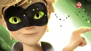 [Miraculous: Tales of Ladybug & Cat Noir] Cat Noir Only — You Shot Me Down