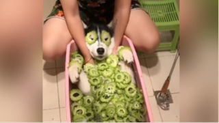 ความซนที่ไม่แพ้ความน่ารัก