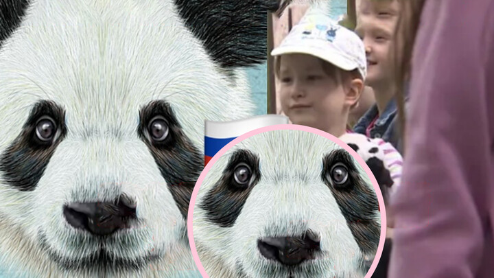 Panda pelukis abstrak -- Aku bisa membantu hewan lain di Rusia.