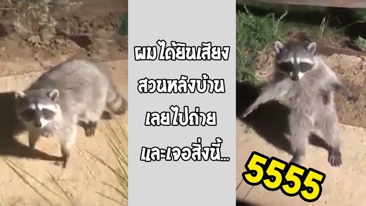 นี่แหละคือการโพสท่าที่สุดจริงๆ ฮาเกิน... #รวมคลิปฮาพากย์ไทย