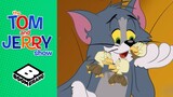 Three Baby Birds | Tom and Jerry | Boomerang UK
