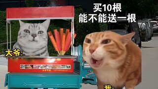 买10根能不能送一根