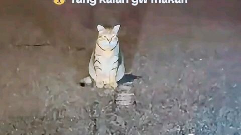 yang kalah gua makan