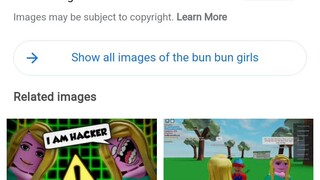 the bun bun girl hacker nooo