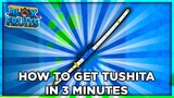How To Get Tushita Under 3 Minutes | Blox Fruit Tushita Puzzle