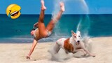 Funny Animals Video - Best Cats😹 and Dogs🐶 Videos of the Month 2022! #2