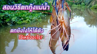 ตกกุ้งแม่น้ำ สอนวิธีตกกุ้งแม่น้ำ ใช้เหยื่ออะไร?