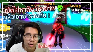 Roblox : Ninja Legends ใช้ 50 ล้านเปิดไข่เพื่อสัตว์หายากมา Evo !!! EP.2