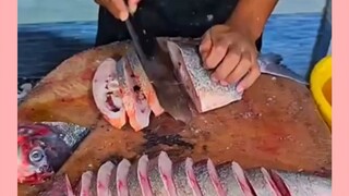 proses pemotongan ikan cantik