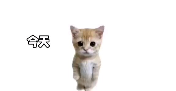 豆浆～