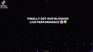 Blossom 🌼🌼 live performance (ENHYPEN)