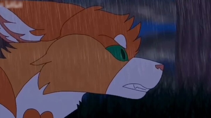 [Warrior Cats][Explosive] How explosive can Warrior Cats be? Super explosive mixed clip
