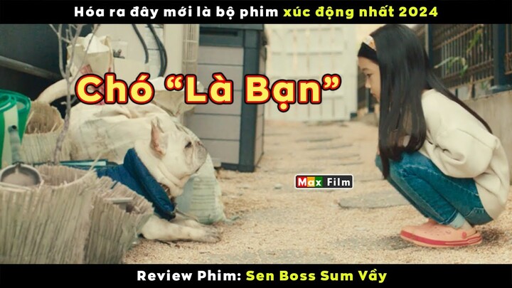 Cô bé mồ côi và chú chó lạc đường - review phim Sen Boss Sum Vầy