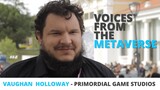 Voices From The Metaverse: Primordial Games