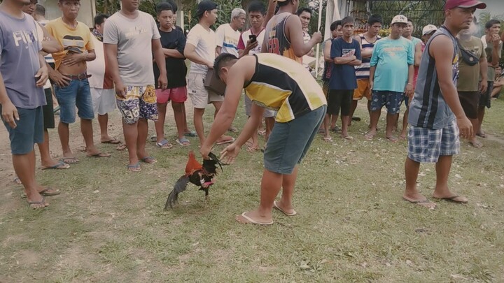 8 months old hehe ,nakaisa na 😅