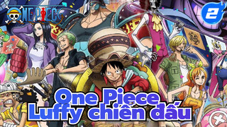 Tổng hợp cảnh chiến đấu của Luffy (Bản điện ảnh)_2