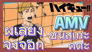 [ไฮคิว!! คู่ตบฟ้าประทาน] AMV  | ผู้เลี้ยงจิ้งจอก - ชินสุเกะ คิตะ