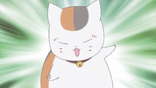 [Natsume Yuujinchou Roku] Guru kucing yang lucu