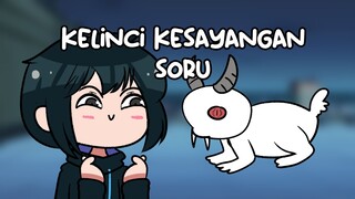 Kelinci kesayangan Soru