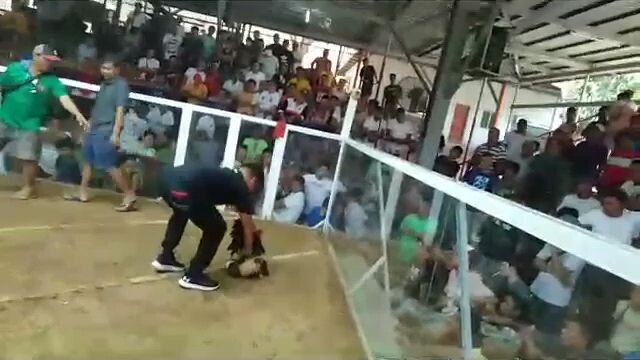 mariveles cockpit arena talisay vs pula win meron