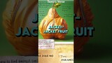The Jacket-Jacket Fruit Awakening Is Beyond RIDICULOUS! #anime #onepiece #luffy #shorts