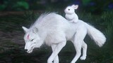 Tập 4: Hai chị em sợ hãi thỏ con khi vua sói xuất hiện