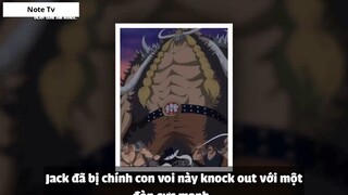 Top 6 Lệnh Truy Nã Mới Nhất Trong One Piece 2018 #1- 6