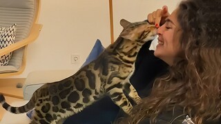 Kitten Loves Her Mom So Much She Never Wants To Let Go