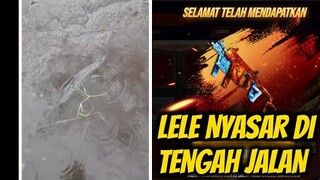 ADA LELE DI TENGAH JALAN