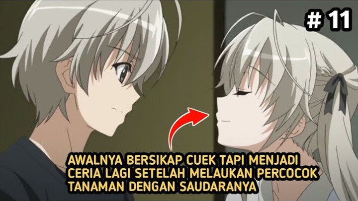 Alur cerita anime‼️Yosuga no sora