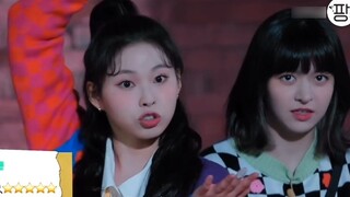 Adik perempuan NMIXX menari mengikuti lagu Lost Menu milik Straykids, dan tertawa terbahak-bahak hin