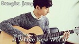 A Whole New World - Sungha Jung