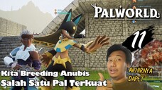 Akhirnya Kita Punya Anubis Hasil Breeding
