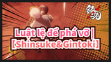 Luật lệ để phá vỡ | 【Shinsuke&Gintoki/MAD】Đừng nhìn lại