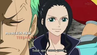 zoro x robin 😻😻