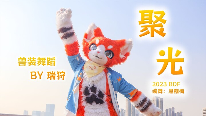 【兽装舞蹈】《聚光》 By 瑞狩 在2024年开年跳BDF2023是否晚了一些？